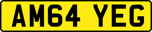AM64YEG
