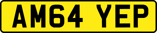 AM64YEP