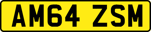 AM64ZSM