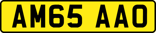 AM65AAO
