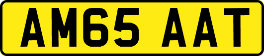 AM65AAT