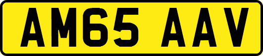 AM65AAV