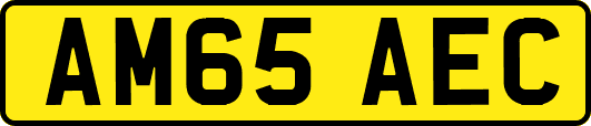 AM65AEC
