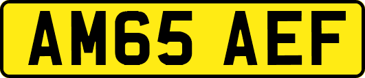 AM65AEF