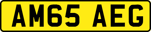 AM65AEG