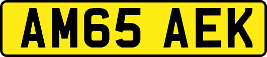 AM65AEK