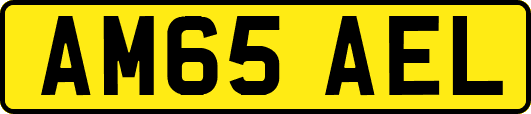AM65AEL