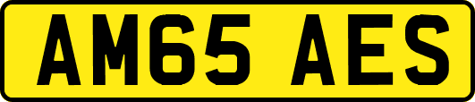 AM65AES