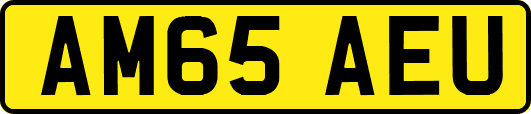 AM65AEU
