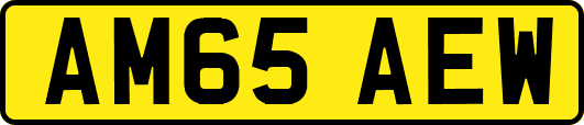AM65AEW