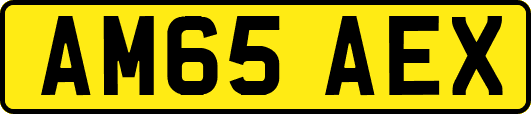 AM65AEX