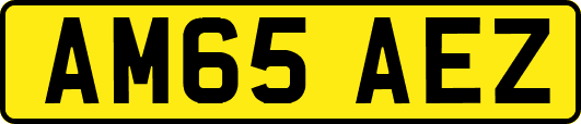 AM65AEZ