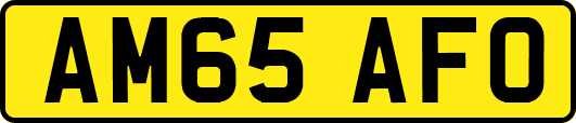 AM65AFO