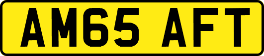 AM65AFT
