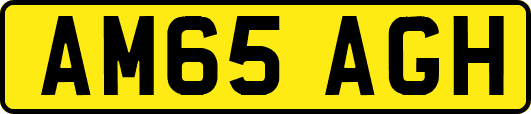 AM65AGH