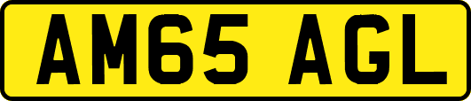 AM65AGL
