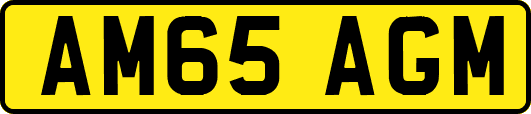 AM65AGM