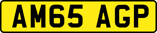 AM65AGP