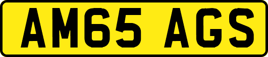 AM65AGS