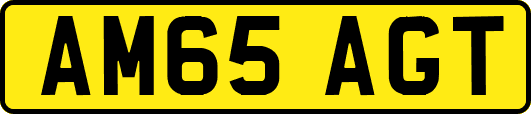 AM65AGT