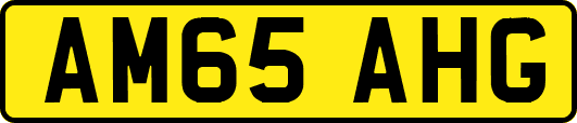 AM65AHG