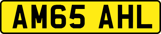 AM65AHL