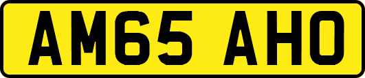 AM65AHO