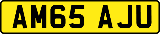 AM65AJU