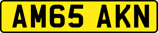 AM65AKN