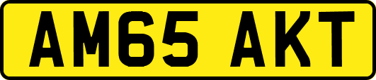 AM65AKT