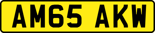 AM65AKW