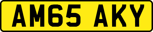 AM65AKY
