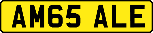AM65ALE
