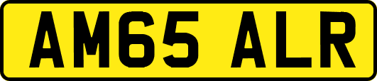 AM65ALR