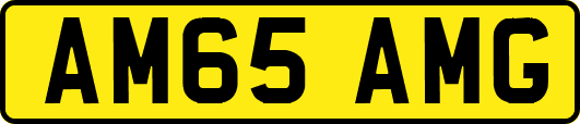 AM65AMG