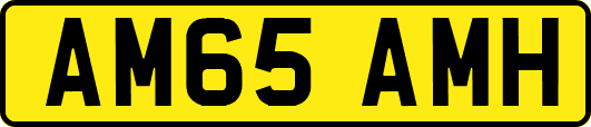 AM65AMH