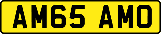 AM65AMO