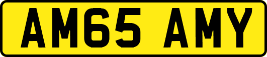 AM65AMY