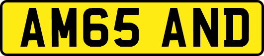 AM65AND