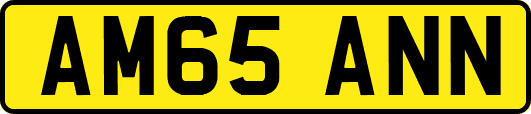 AM65ANN