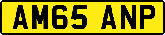 AM65ANP