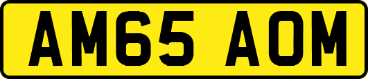AM65AOM