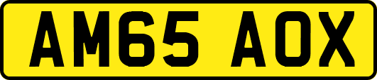 AM65AOX