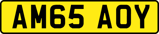 AM65AOY