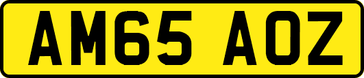 AM65AOZ