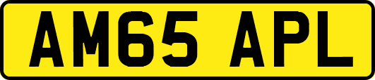 AM65APL