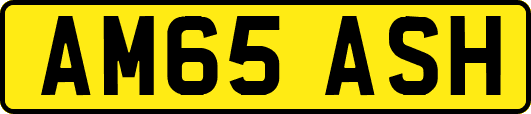 AM65ASH