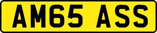 AM65ASS