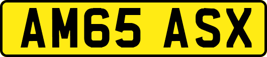 AM65ASX