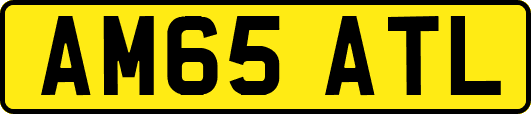 AM65ATL